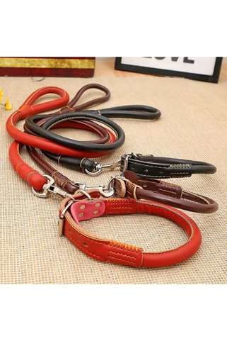 mywarehouse Büyük Irk Lüx Deri Köpek Gezdirme Seti 120 cm