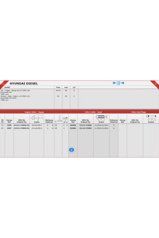 Güneş G04841 Subap Gaydı In 8 E8 Santa Fe 2.0crdı 16v 4wd