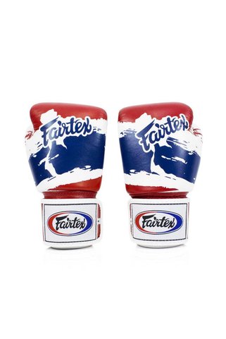 Fairtex Muay Thai Boxing Sparring Gloves BGV1