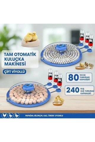 Eco Lounge 80 ve 240 Kapasiteli Fonksiyonel Tam Otomatik Kuluçka Papağan Mini Kuş Tavuk Kaz Ördek Uyumlu