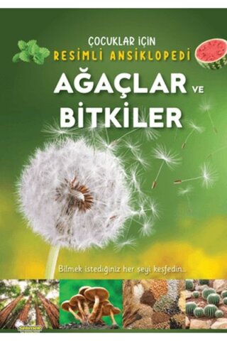 ARNEER Ağaçlar Ve Ler