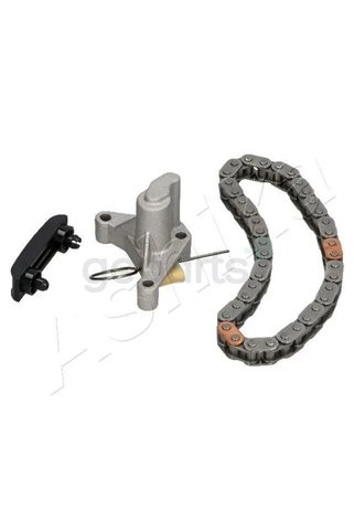 BSG Eksantrik Zincir Seti Land Rover Evoque Freelander 2 2006-2019 Zincir - Zincir Gergisi