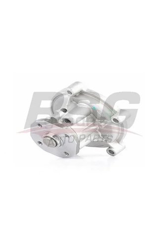 BSG Devirdaim W169-245 2004-2011