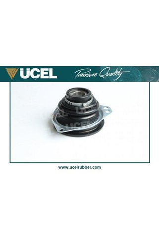 Üçel AKS KORUGU IC SOL SACLI BILYALI INA-NADELLA RULMANLI ( RENAULT LAGUNA II / MASTER II / )