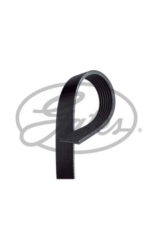 GATES KANALLI KAYIS MASTER G9U 2,5DCI KLIMASIZ
