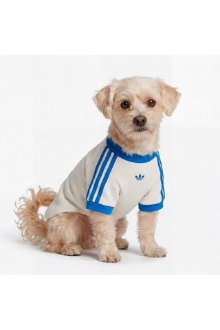 adidas PET CALI TEE