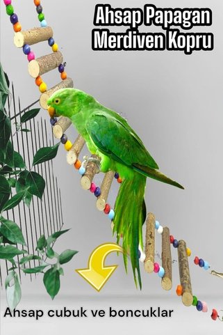 ozzipetshop Jako Papagan Oyuncak Dogal Ahsap Merdiven 50 Cm