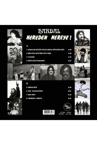 HANEL Hardal Nereden Nereye Renkli Plak, LP Vinyl
