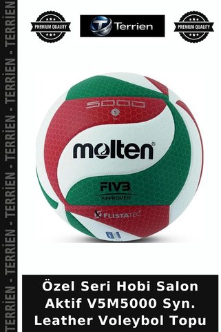 Terrien Özel Seri Hobi Salon Aktif V5M5000 Syn. Leather Voleybol Topu