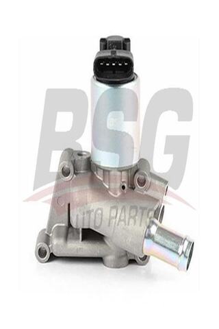 BSG 65-836-004 Egr Valfi 65836004 (WA545625)