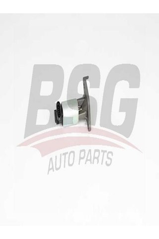 BSG 65-836-018 Egr Valfi 65836018 (WM665833)