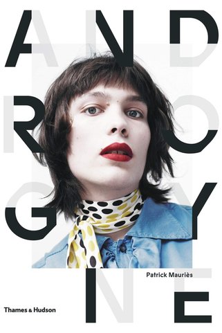 Thames & Hudson Androgyne : Une Image De Mode Et Sa Mémoire (fransızca) Ciltli Kapak