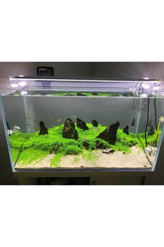 AquaLed META Aqualedmeta Beyaz 150cm Açma-kapama Anahtarlı Bar Led