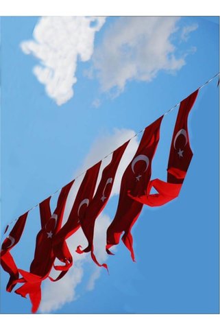 bayrakal Dizili Kırlangıç Türk Bayrağı Raşel Kumaş 15 Ad. 12 Metre, Dizili Bayrak, Sıralı Bayrak, 50x200cm