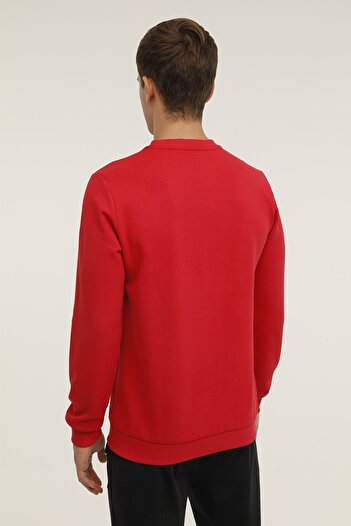 lumberjack ML ROBERT 16ITLY72 3PR Red Men's Sweatshirt
