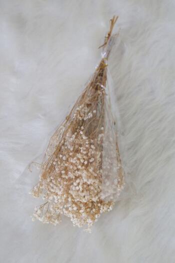 Hobigram Artificial Flower Dry Flower Shocked Cipso Natural – Artificial & Dry Flower, Stylish Design, Women's Accessory – Y