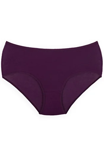 Humaone 5-Piece Mixed Women's Lycra Bato Cotton Panties Fuchsia, Pink, Ecru, Purple, Lilac Bt1-a66