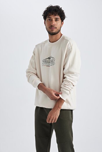 DeFacto Discovery Channel Oversize Fit Білескіт Яка Світшот A5352ax23au