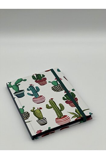 Beyaz Panda Yayınları 80 sheets 160 pages of striped notebooks