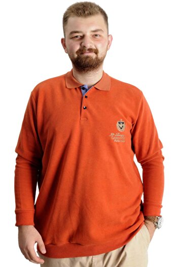 ModeXL Чоловічий поло-светр великого розміру - Selanik Classic Sport 23444 Кереміт