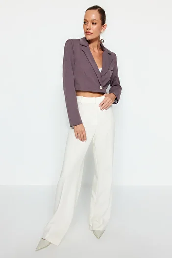 Trendyol Collection Graue, kurz gefütterte, gewebte Blazerjacke TWOAW22CE0086