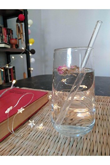 Hanedan HOME Transparent 6-Piece Glass Straight Pipette