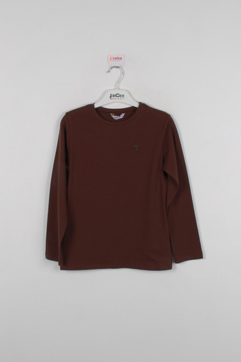 incity Boy's Brown Basic Long Sleeve T-Shirt