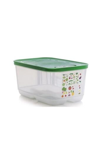 Tupperware Greenhouse Set of 4 Storage Containers