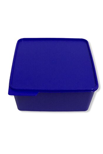 Tupperware Colorful Rectangular 5lt