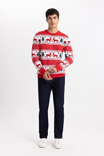 DeFacto New Year's Themed Standard Fit Regular Cut Patterned Crew Neck Knitwear Sweater B2361Ax23Wn