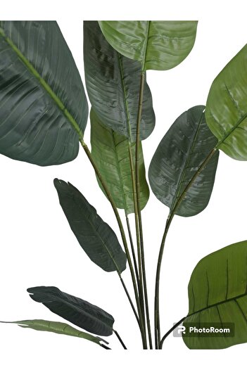 Bahçem Arborele artificial Bananierul Artificial Starliçe din lemn decorativ cu ghiveci 200cm