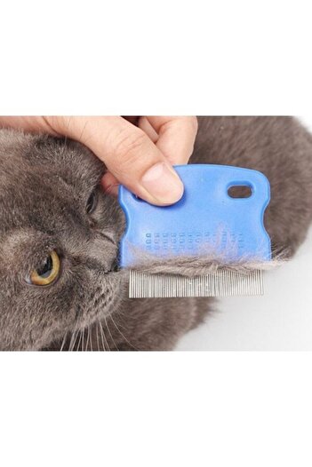Dream Plus Dog Flea Comb - Cat