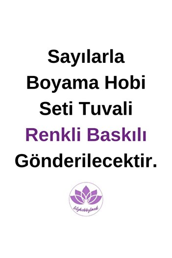 LİLYHOBBYLAND Renkli Baskılı Sayılarla Boyama Hobi Seti (Çerçeveli) 60x75 cm: Vazodaki Çiçekler