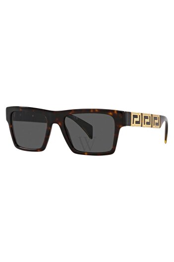 Versace VE4445 10887 54 MEN'S SUNGLASSES