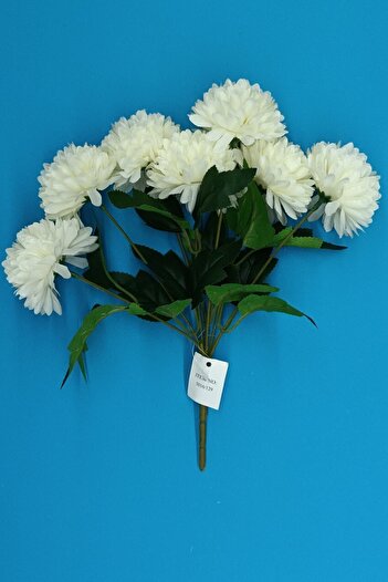 MD Aspiz Flowers Eucalyptus - Chrysanthemum and Tulip Harness, Fence Leaf Clove Pampas, Large Harness