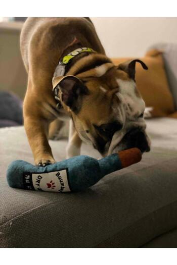 WaowPets Animal Products Bottle Toy, Dog Toy, Cat Toy, Plush Toy