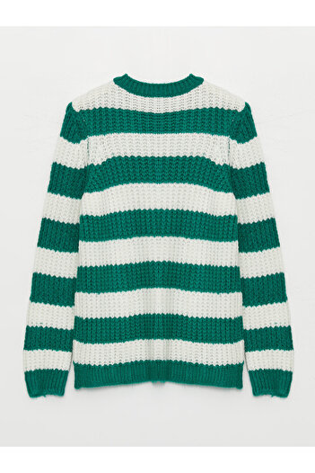 LC Waikiki Crew Neck Color Blocked Long Sleeve Maternity Knitwear Sweater