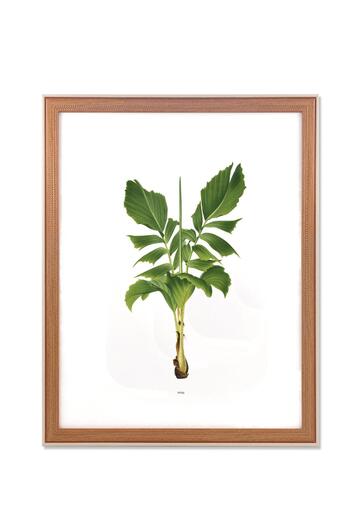 The Mia Cream Colored 40X50 cm Retrato Photo Frame