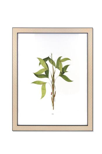 The Mia Vimini Photo Frame Black 40x50 cm