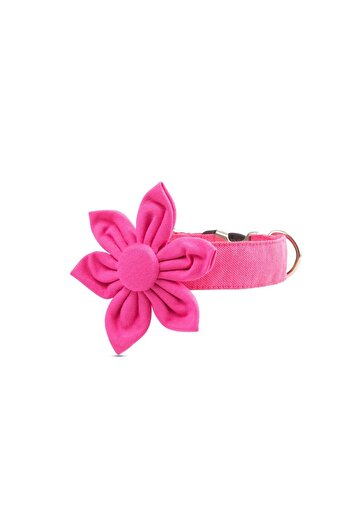 Lusi Doog Floral Dog Collar, Dog Collar with Flower Accessories, Special Floral Bow Tie Collar for Dogs