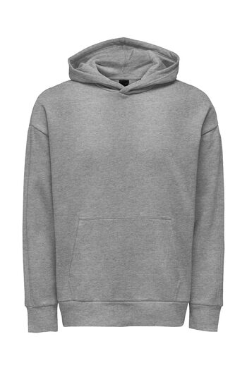 Only & Sons Kapuzenpullover Onsdan Sweatshirt