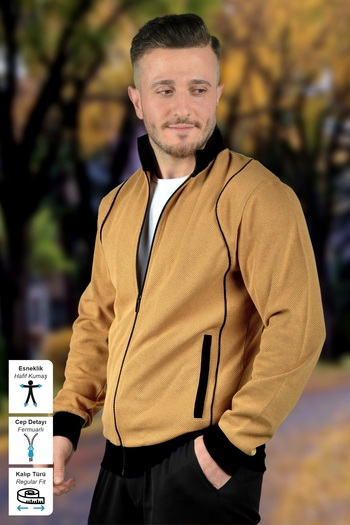 BESSA Men's Beige Zippered Sweatshirt Honeycomb Fabric Stand Collar