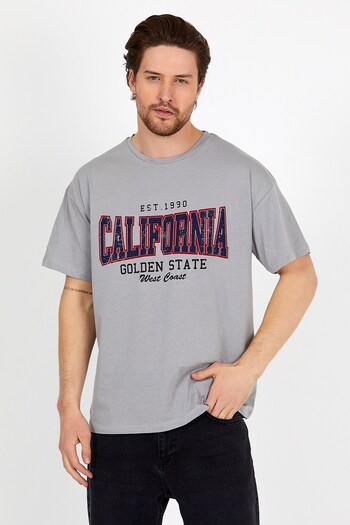 COMBİNE MİCHAİL Unisex Gray Printed Crew Neck Oversize T-shirt