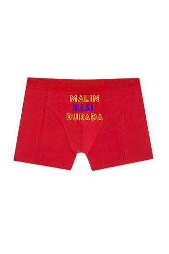 BoxerMasters Men's Blue Printed Goods