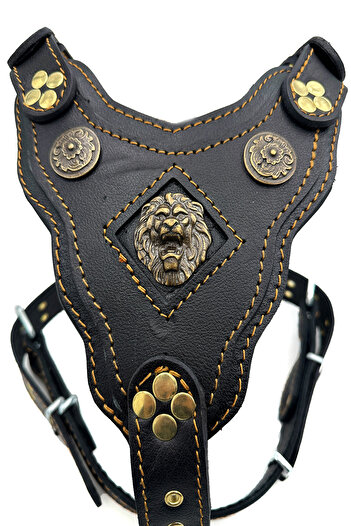 Tasma Market Special Design Leather Dog Chest Collar with Black Lion Head