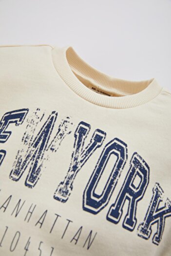 DeFacto Baby Girl Crew Neck Printed Soft Inside Sweatshirt B9639A523Wn