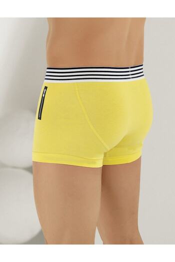 Şahinler Ath Printed Lycra Boxer Saks Me113