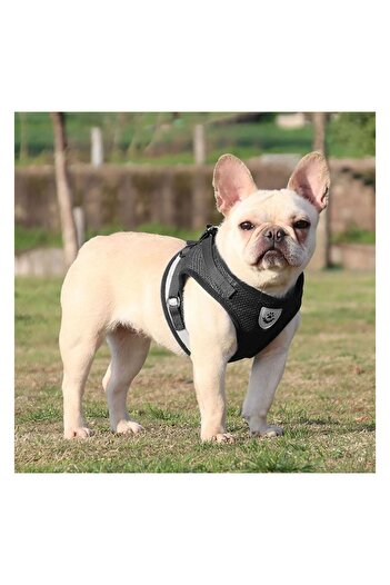FloriaShopping Breathable Reflective Body Collar for Dogs and Cats