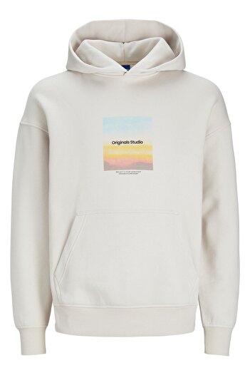 Jack & Jones JORVESTERBRO AQUA Men's Hooded Sweatshirt 12254308