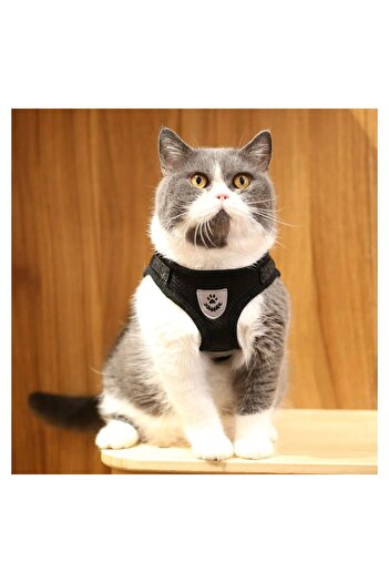 FloriaShopping Breathable Reflective Body Collar for Dogs and Cats